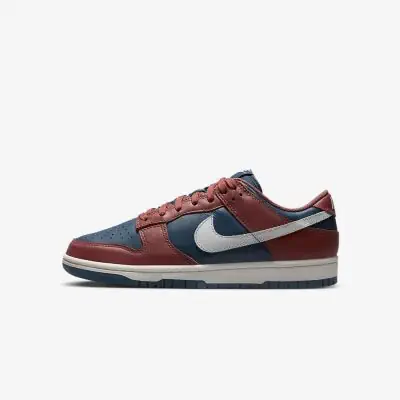 Shoes Nike Dunk Low for Female DD1503 EKINSPORT