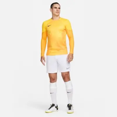 Maglia Nike Dri FIT ADV da portiere IV Uomo DH7967 719 Giallo EKINSPORT