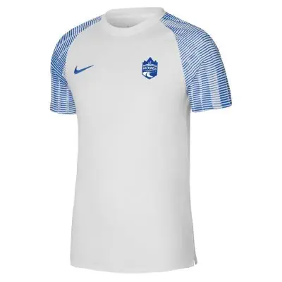 Maillot de match Nike Antibes Handball Blanc & Bleu Royal pour homme