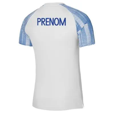 Maillot de match Nike Antibes Handball Blanc & Bleu Royal pour homme