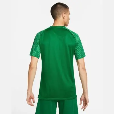 Maglia Nike Academy Uomo DH8031 302 Verde EKINSPORT