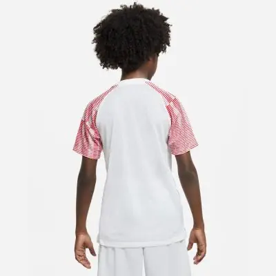 Trikot Nike Academy für kinder