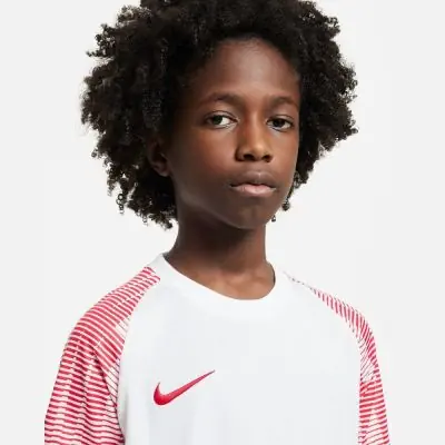 Trikot Nike Academy für kinder