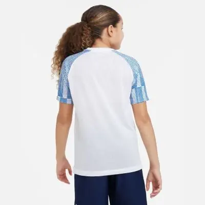 Trikot Nike Academy für kinder