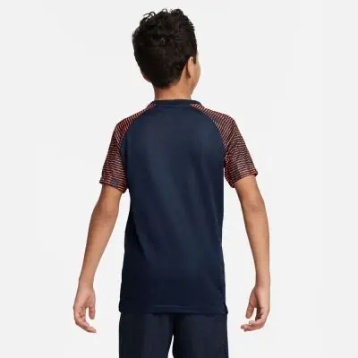 Trikot Nike Academy für kinder