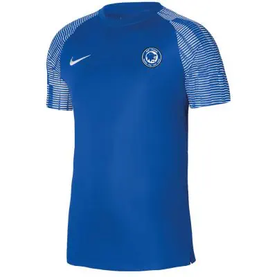 Maillot de match Bleu Royal pour Enfant ALF Futsal EKINSPORT