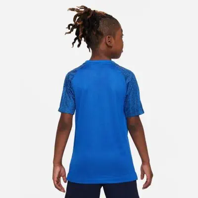 Trikot Nike Academy für kinder