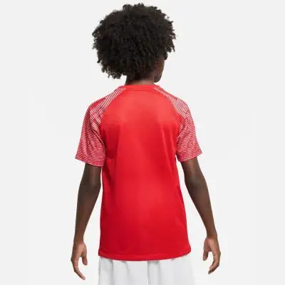 Trikot Nike Academy für kinder