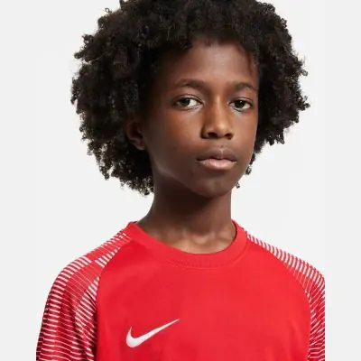 Trikot Nike Academy für kinder