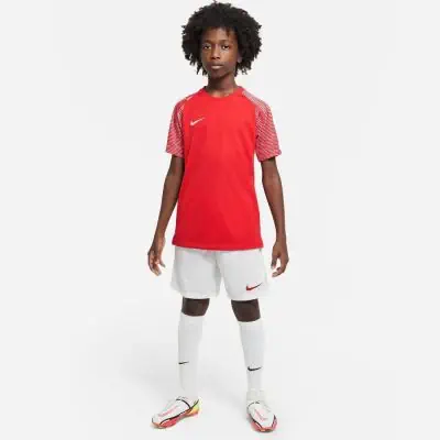 Trikot Nike Academy für kinder