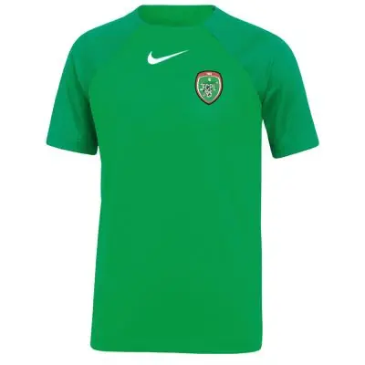 Maillot Nike Academy Pro Vert pour Homme Puiseux Louvres 95 FC EKINSPORT