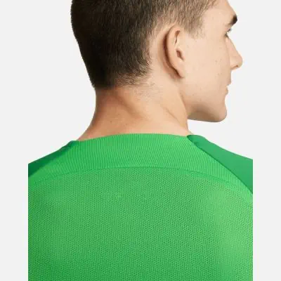 Trikot Nike Academy Pro für herren