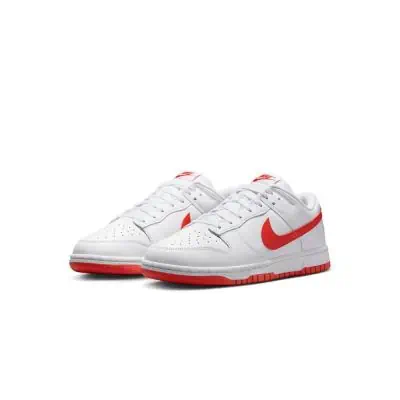 Nike Dunk Low Retro White Men's Shoes - DV0831-103 | EKINSPORT