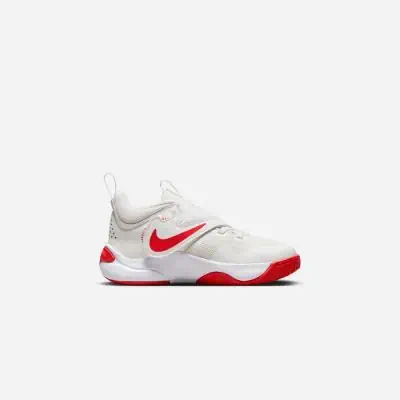 Chaussures de basket Nike Team Hustle D 11 pour enfant EKINSPORT