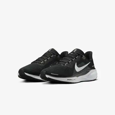 Chaussures de running Nike Pegasus 41 Noir pour Homme EKINSPORT
