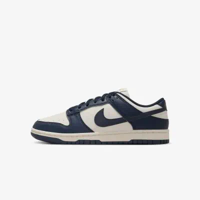 Chaussures Nike Dunk Low Next Nature Gris Bleu Marine pour Femme EKINSPORT