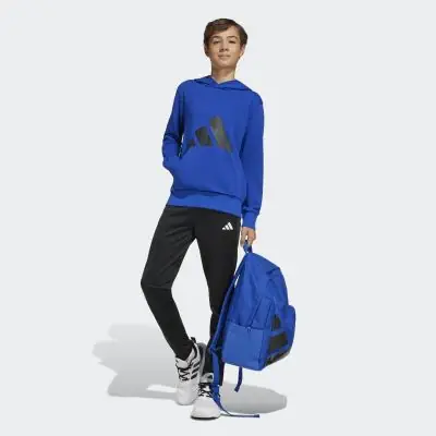 sweat a capuche essentials climacool adidas enfant jc9674