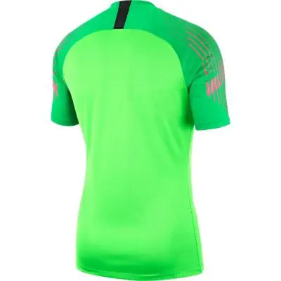 Nike gardien goalkeeper kit 2018 cheap