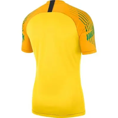 Torwarttrikot Nike Torwart Gelb für herren