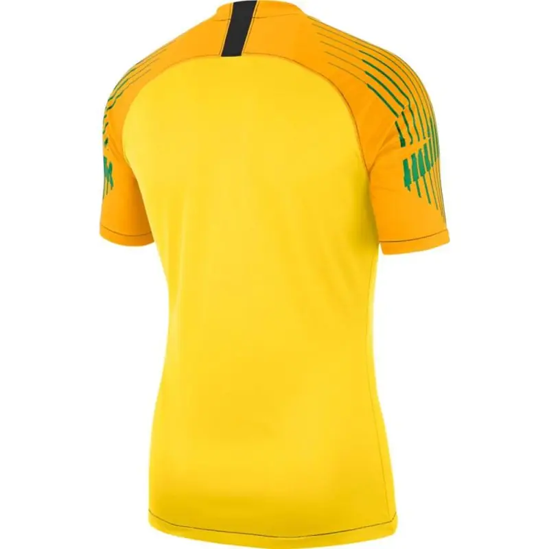 Torwarttrikot Nike Torwart Gelb für herren Torwarttrikot Nike Torwart Gelb für herren