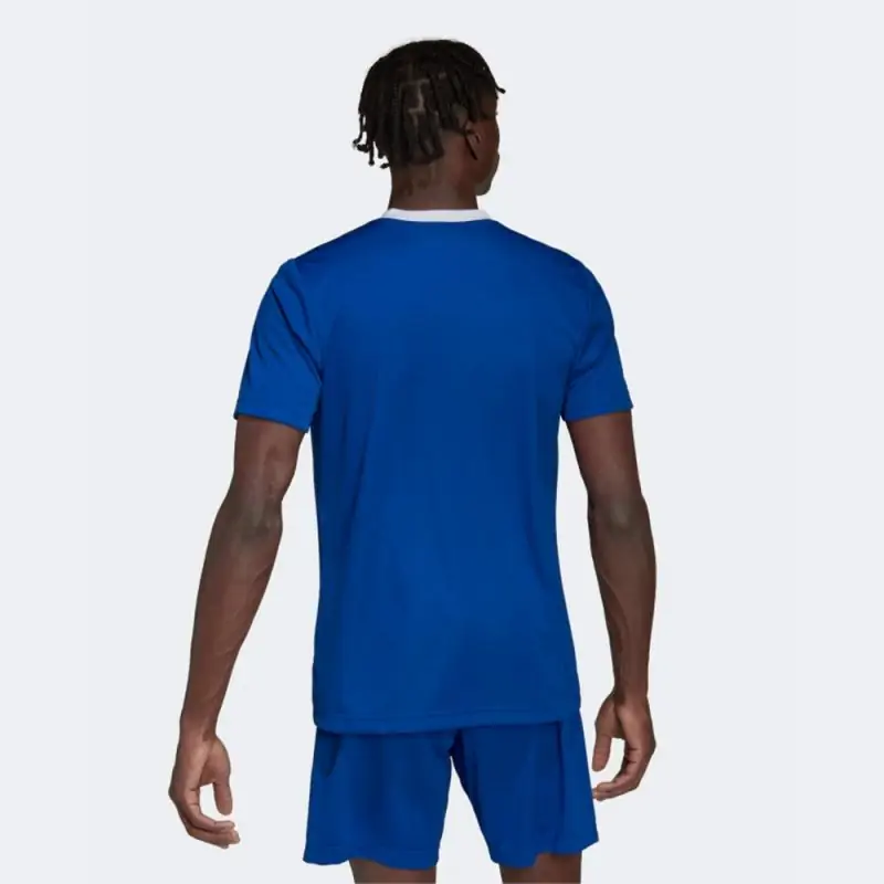 maillot adidas entrada 22 bleu royal pour homme zg486 hg6283 maillot adidas entrada 22 bleu royal pour homme zg486 hg6283