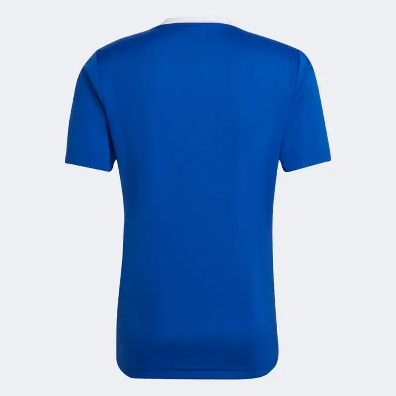 maillot adidas entrada 22 bleu royal pour homme zg486 hg6283 maillot adidas entrada 22 bleu royal pour homme zg486 hg6283