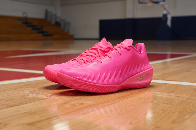 chaussures nike basket