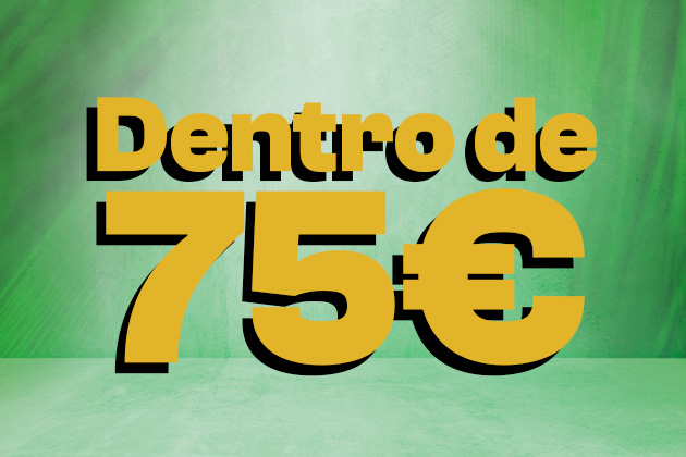 Artículos alrededor de 75€