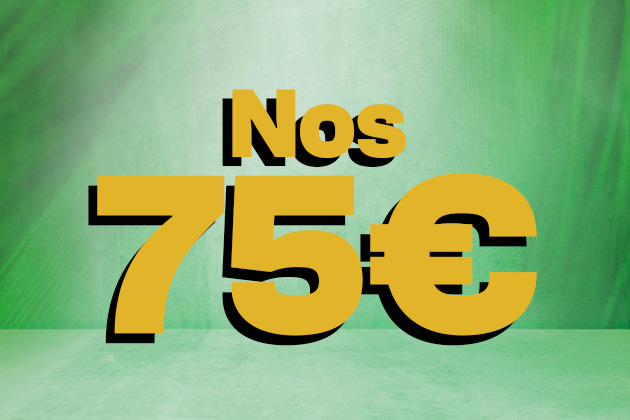 Artigos à volta de 75€